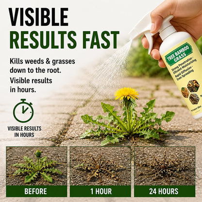 🔥2026 SALE - Fast-Acting Natural Weed & Grass Killer Spray